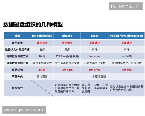 南京乒乓球队控制策略解析与发展趋势探讨