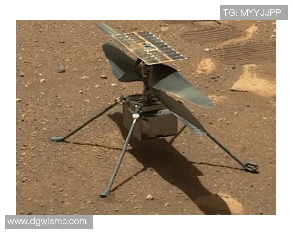 最新足球明星遭遇飞机失事事件引发全球关注与哀悼